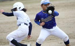 2025年度秋季新人少年野球大会