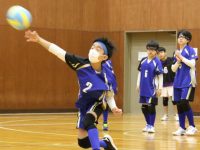 モンスターカップ予選リーグ