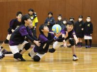 モンスターカップ予選リーグ